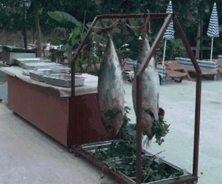 Resort Sunmerry Beldibi (Kemer)